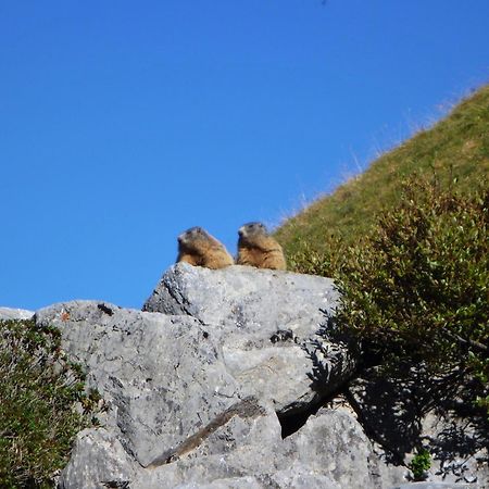 Urlaub Bei Moses Lägenhet Schoppernau Exteriör bild