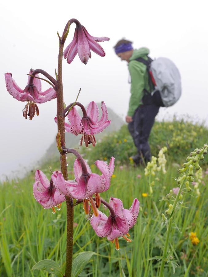 Urlaub Bei Moses Lägenhet Schoppernau Exteriör bild