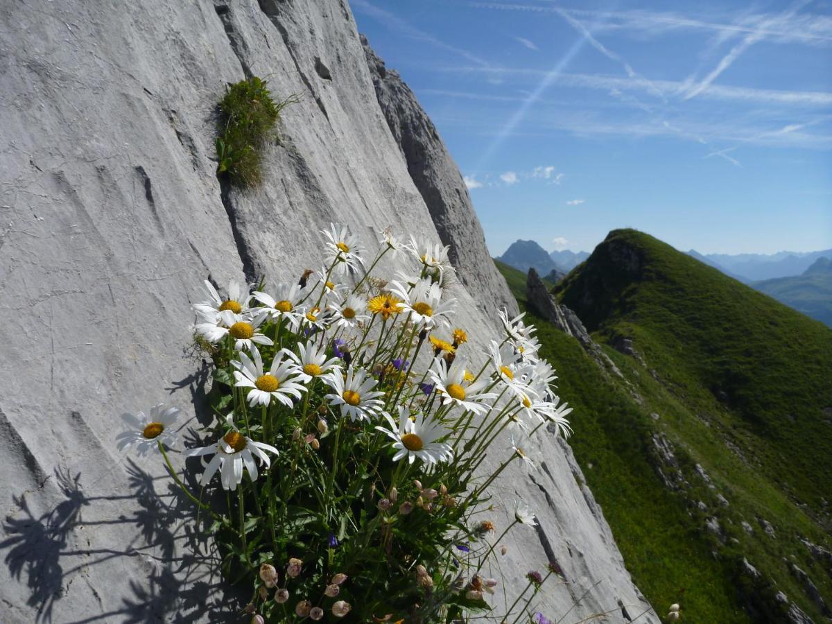 Urlaub Bei Moses Lägenhet Schoppernau Exteriör bild