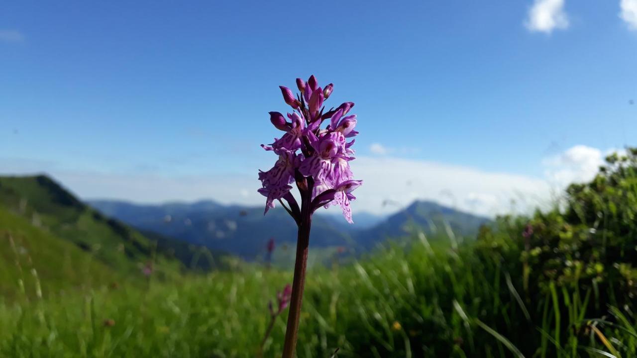 Urlaub Bei Moses Lägenhet Schoppernau Exteriör bild
